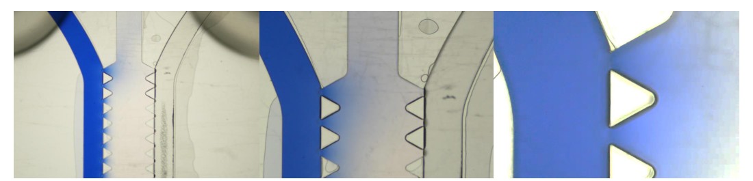 Dye diffusion test showing a tracer diffusing across the trapping-post array from the media channel into the DyNAtrix gel channel